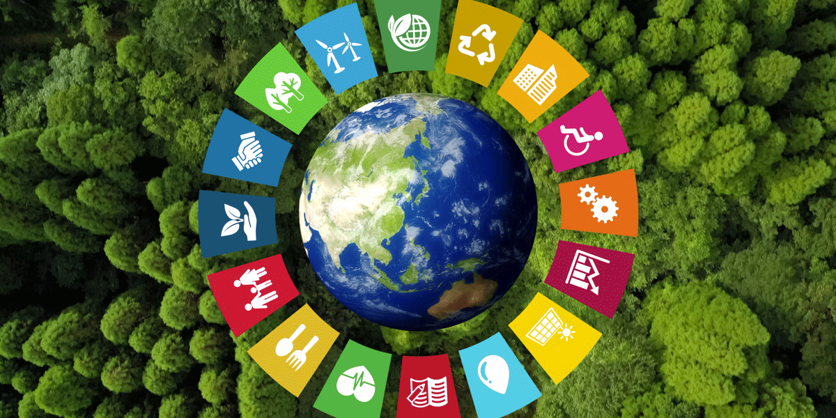 Sustainability at WeAreKoss.com – Small Choices, Big Impact